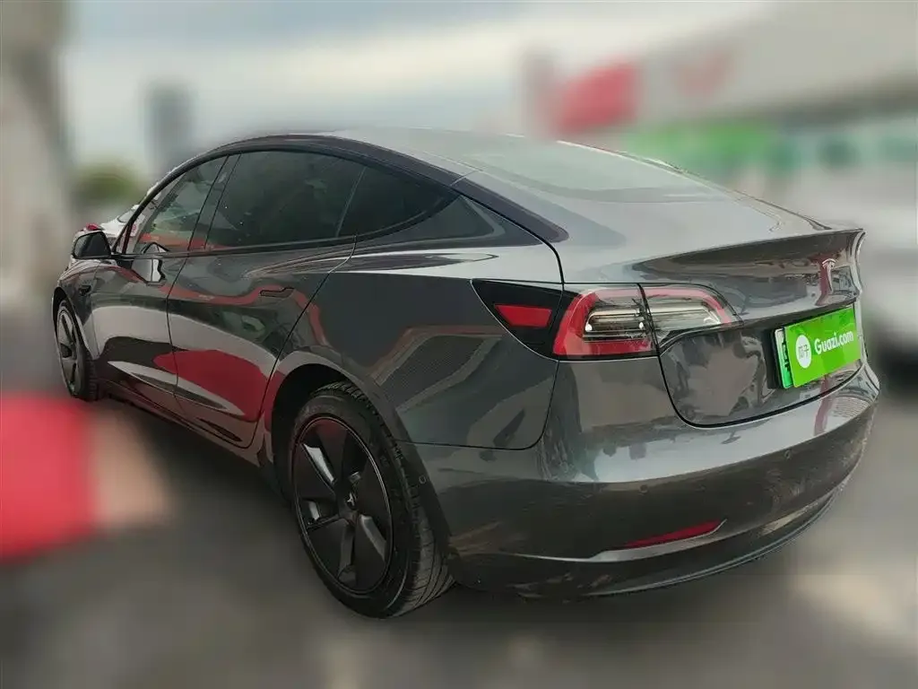Tesla Model 3 2021 из CN, фото 9