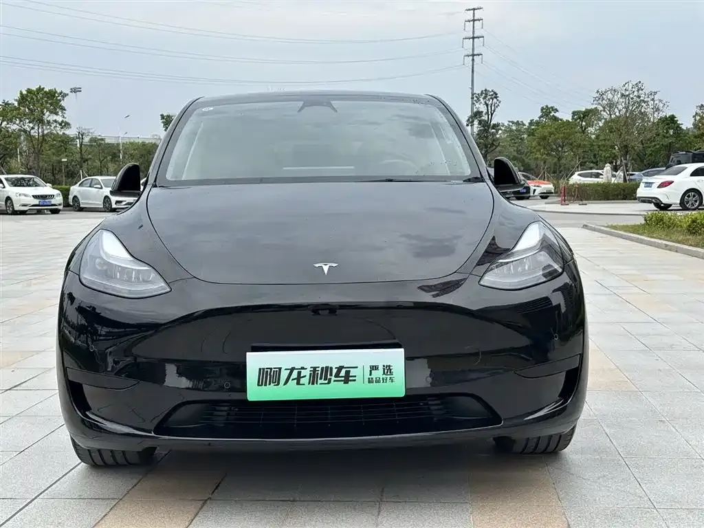 Tesla Model Y — фото 2