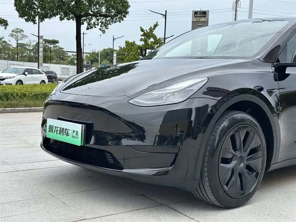 Tesla Model Y — фото 3
