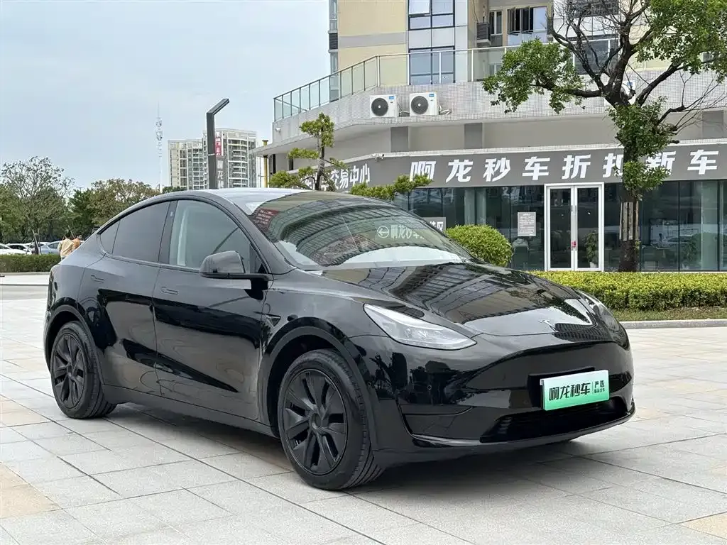 Tesla Model Y — фото 4
