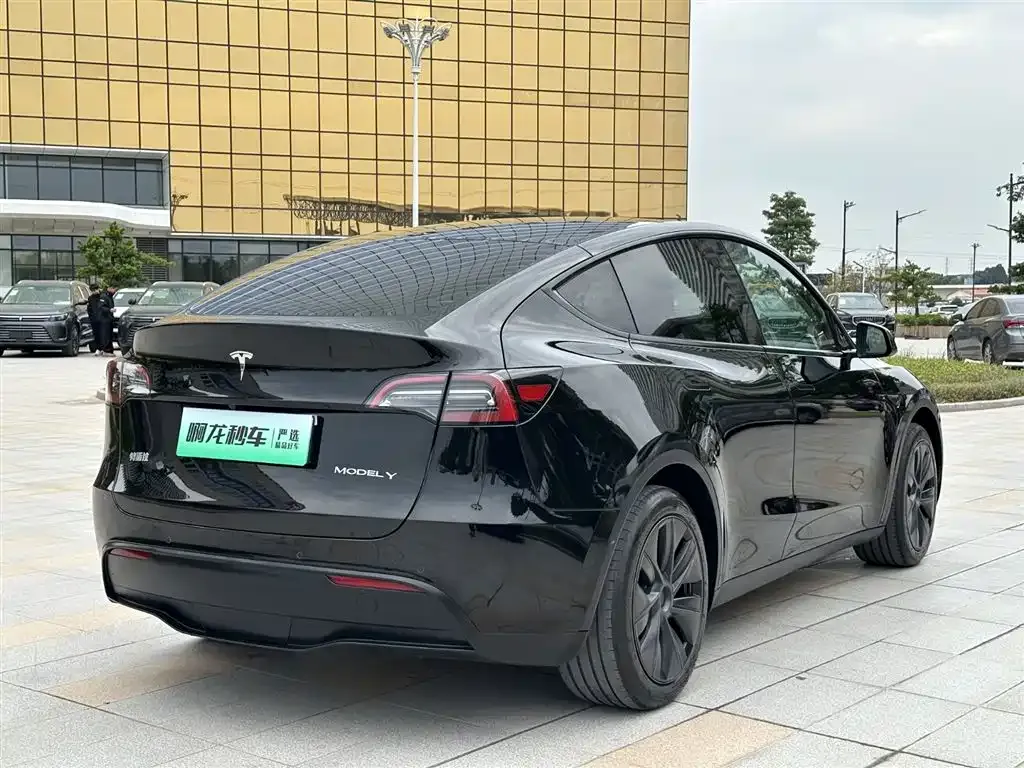 Tesla Model Y — фото 5
