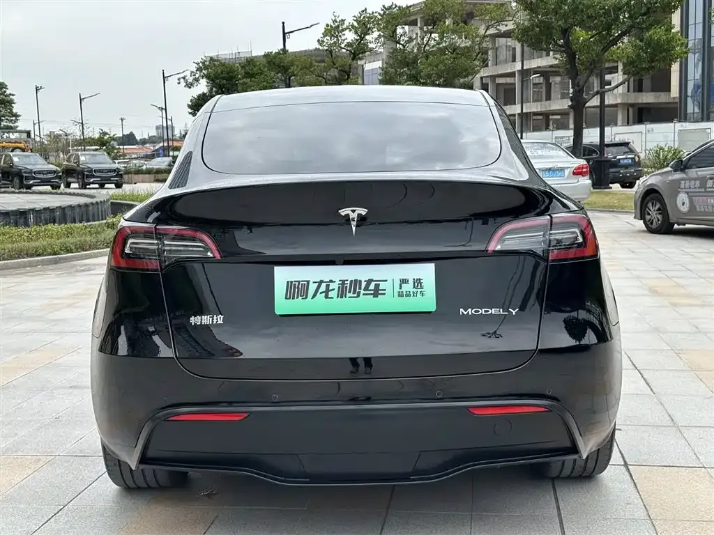 Tesla Model Y — фото 6