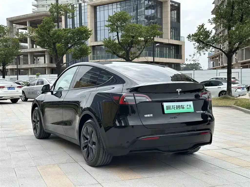 Tesla Model Y — фото 8