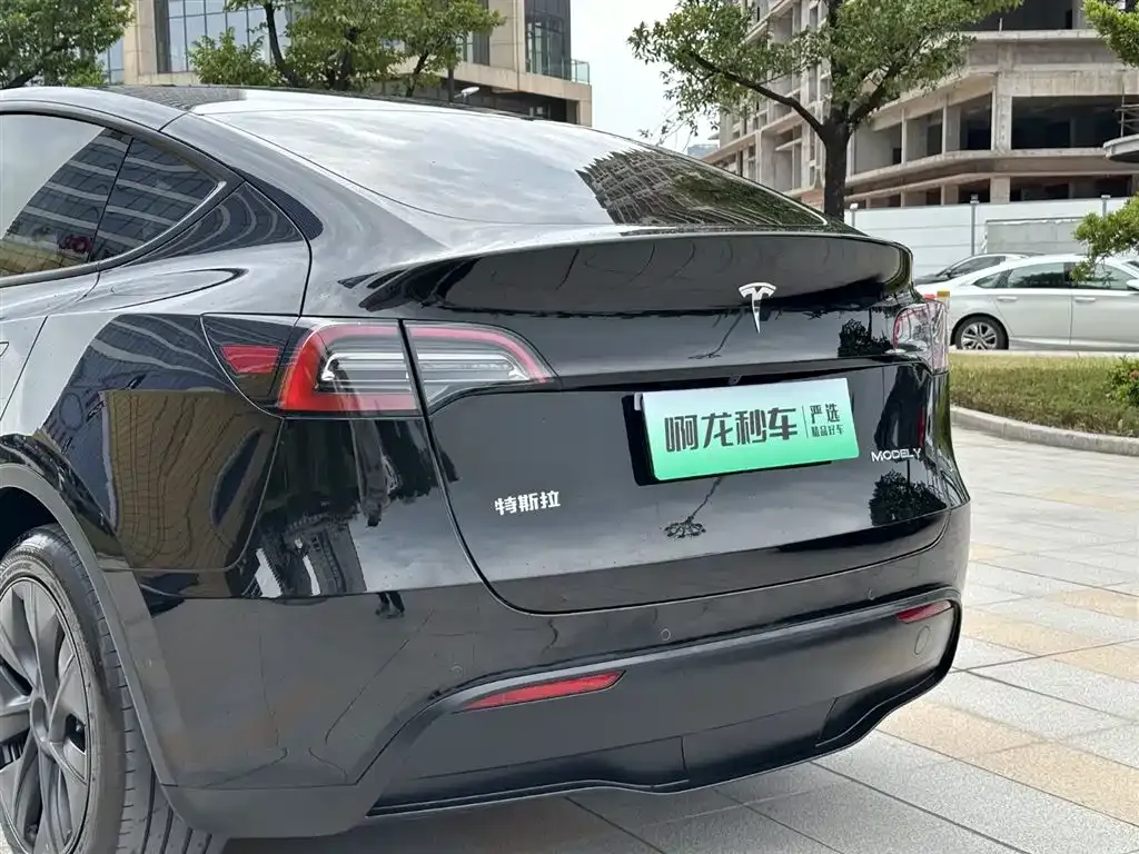 Tesla Model Y — фото 9