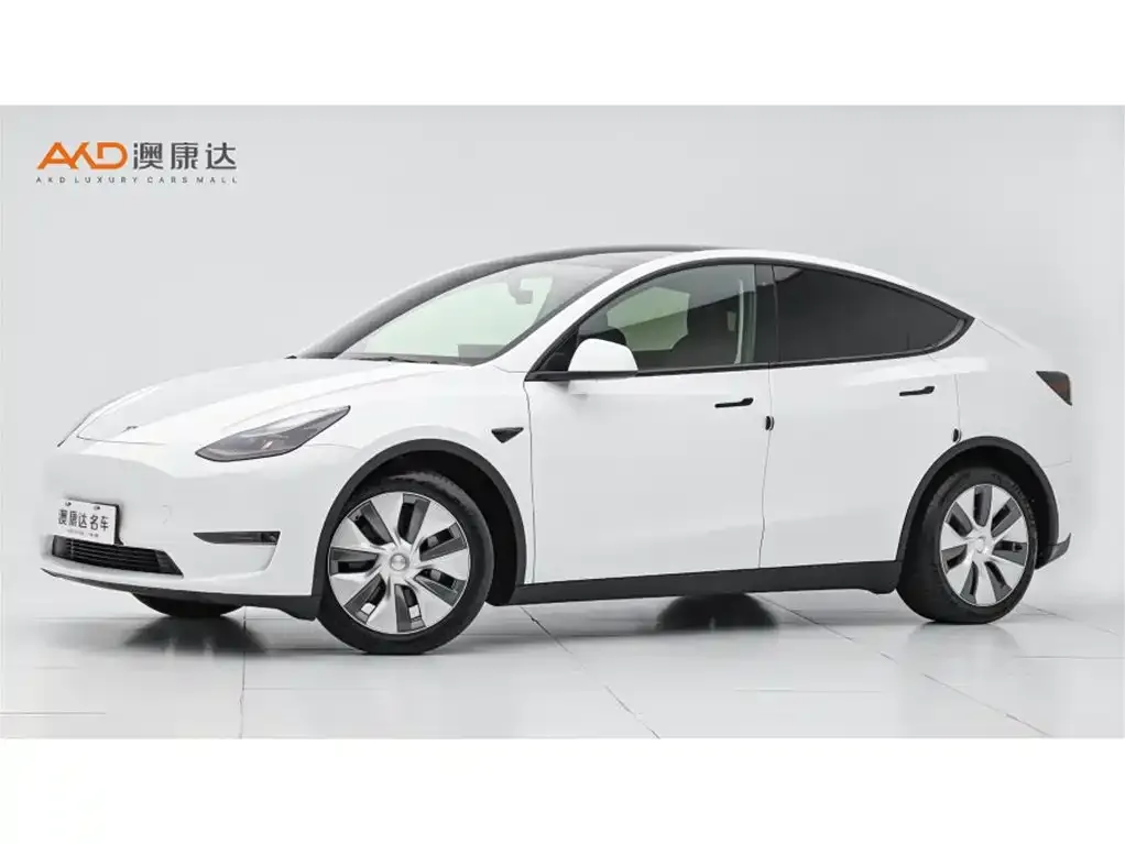 Tesla Model Y 2021 из CN, фото 1