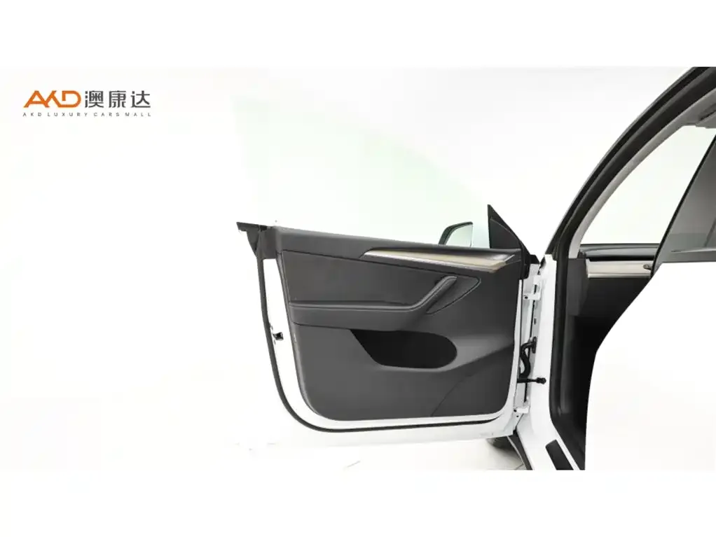 Tesla Model Y 2021 из CN, фото 10