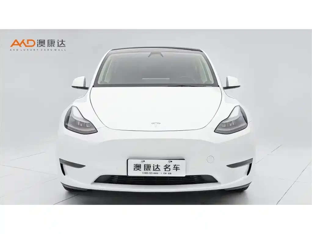 Tesla Model Y 2021 из CN, фото 2