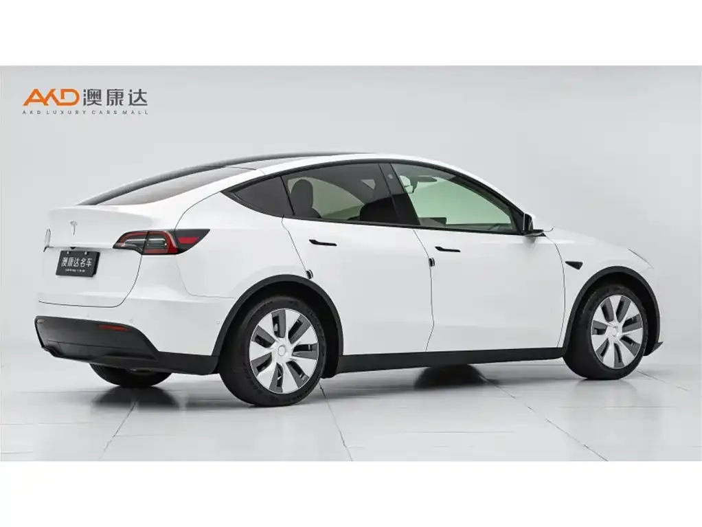 Tesla Model Y 2021 из CN, фото 3