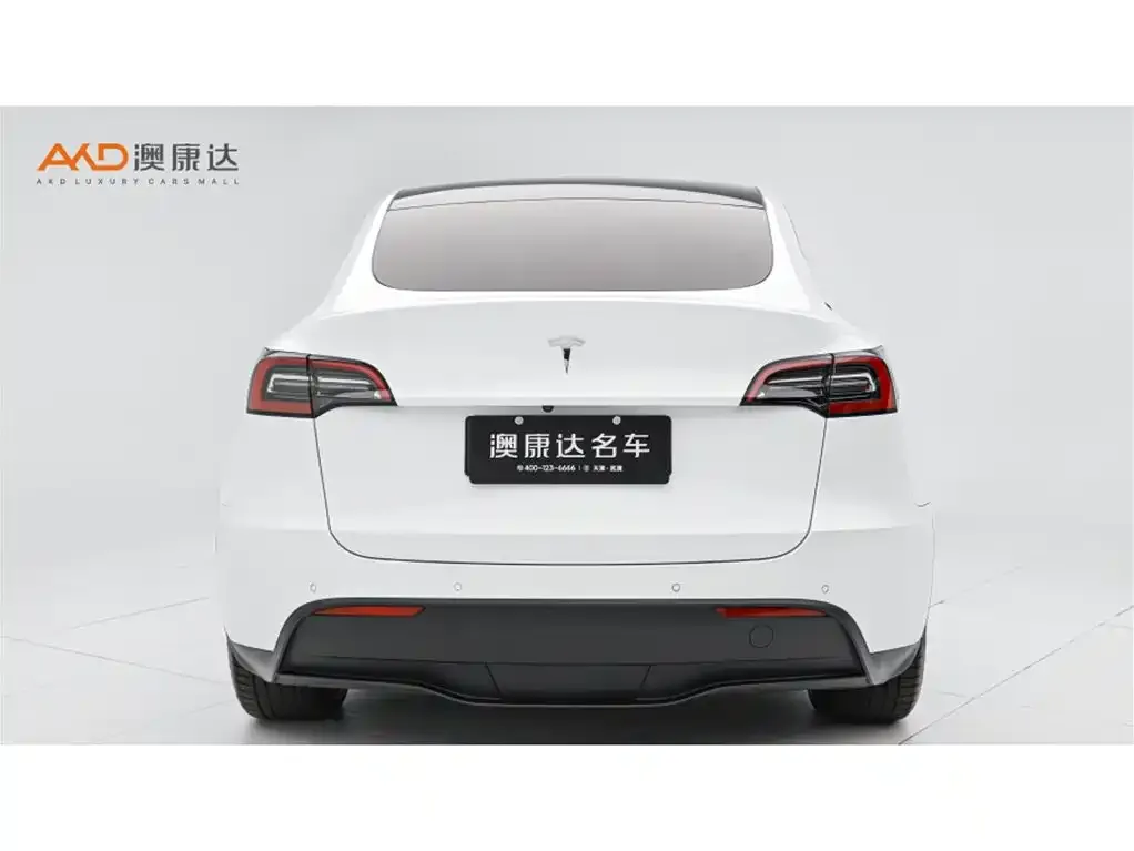 Tesla Model Y 2021 из CN, фото 4
