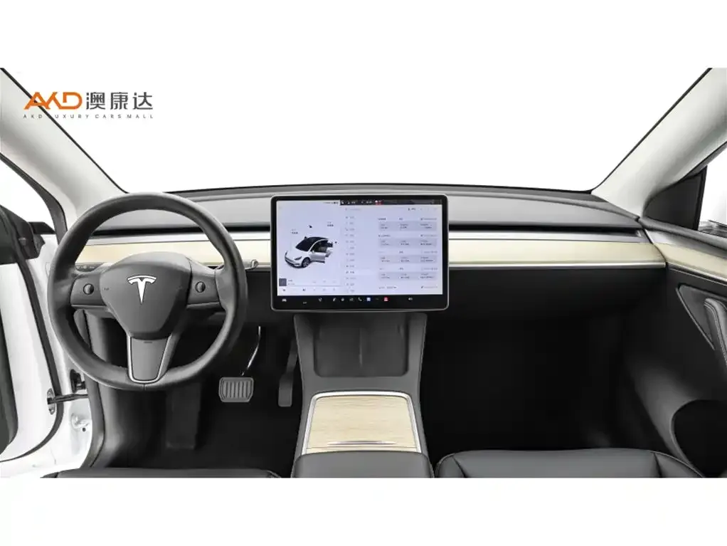 Tesla Model Y 2021 из CN, фото 5