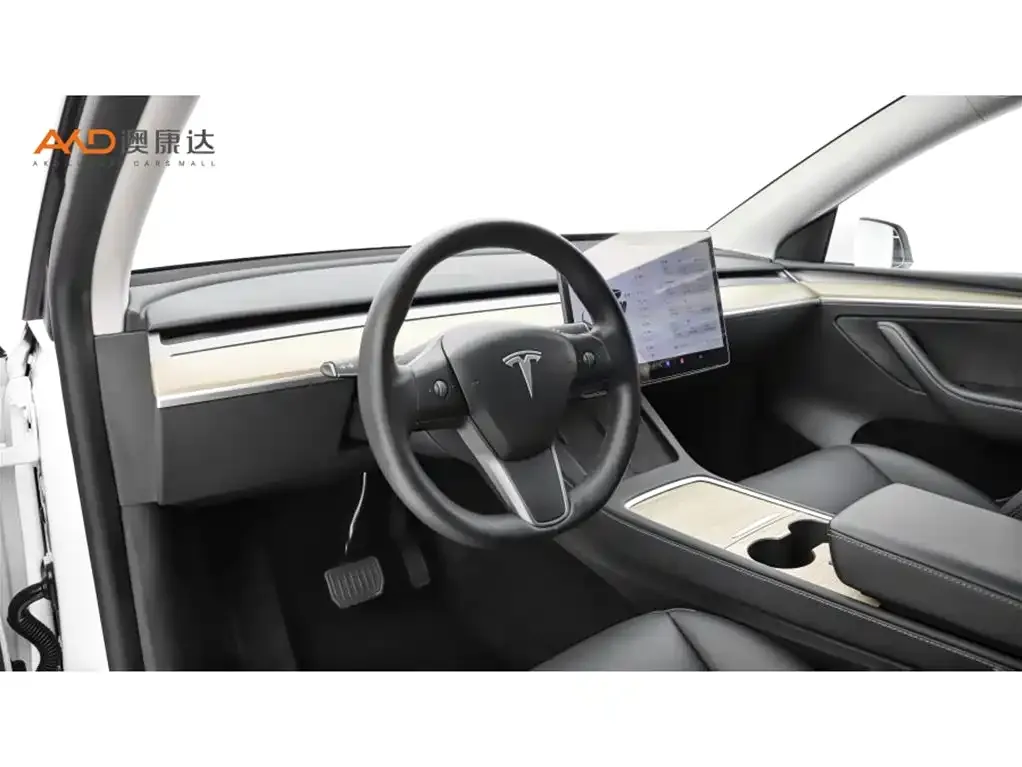 Tesla Model Y 2021 из CN, фото 6