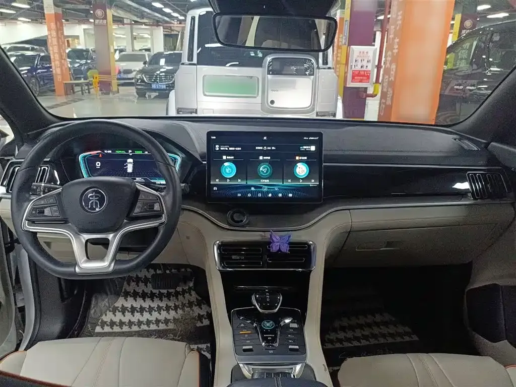 BYD PLUS New Energy 2022 из CN, фото 10