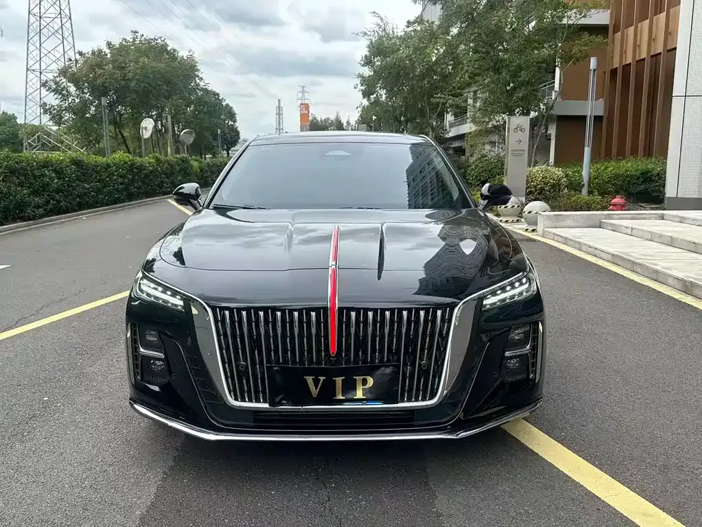 Hongqi H5 2022 из CN, фото 2