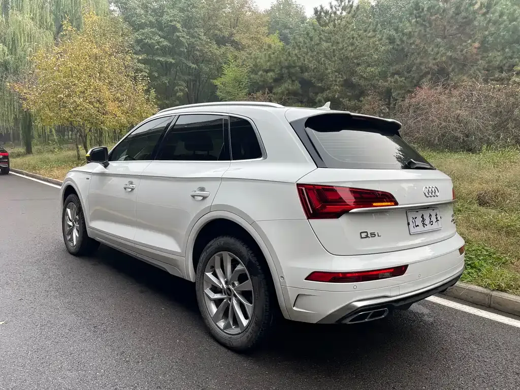 Audi Q5L 2021 из CN, фото 9