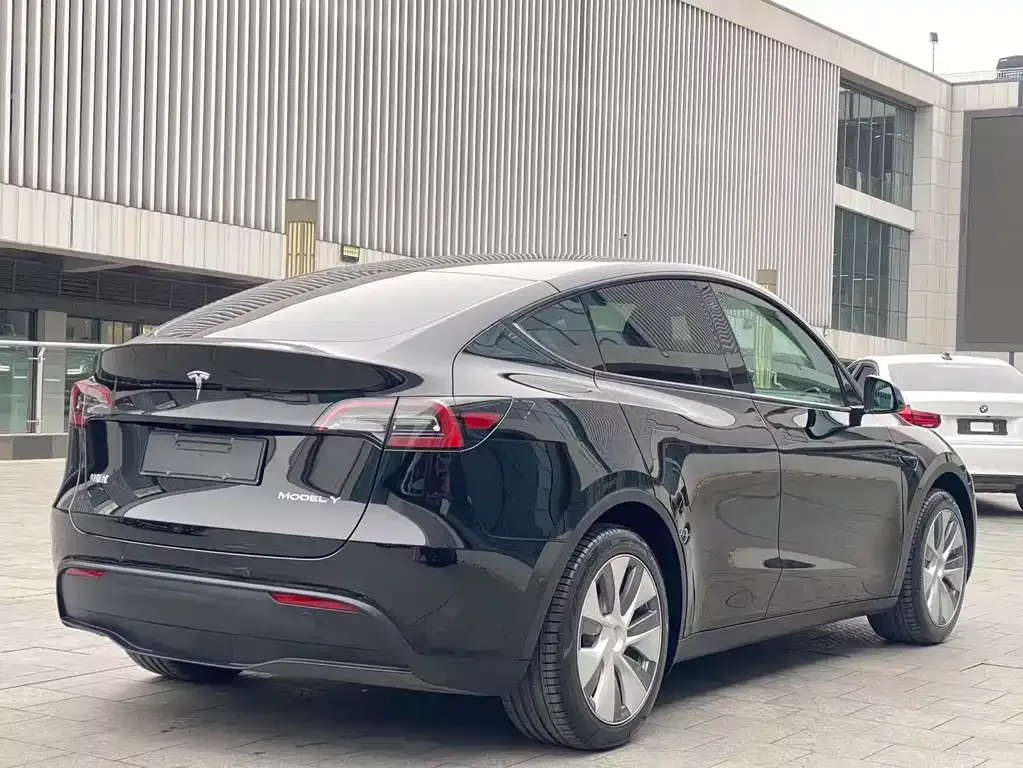 Tesla Model Y — фото 10