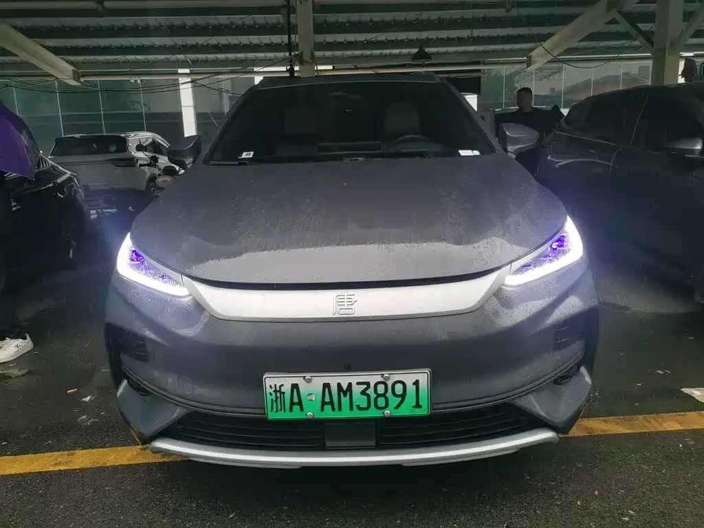 BYD Tang New Energy 2022 из CN, фото 2