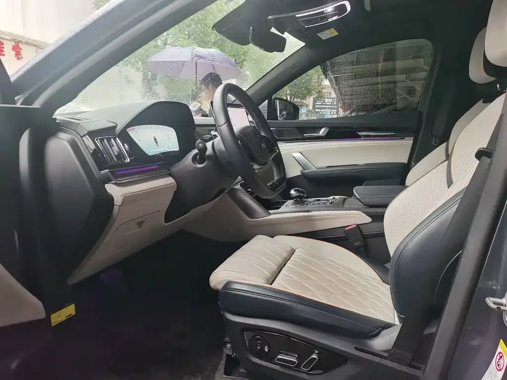 BYD Tang New Energy 2022 из CN, фото 4