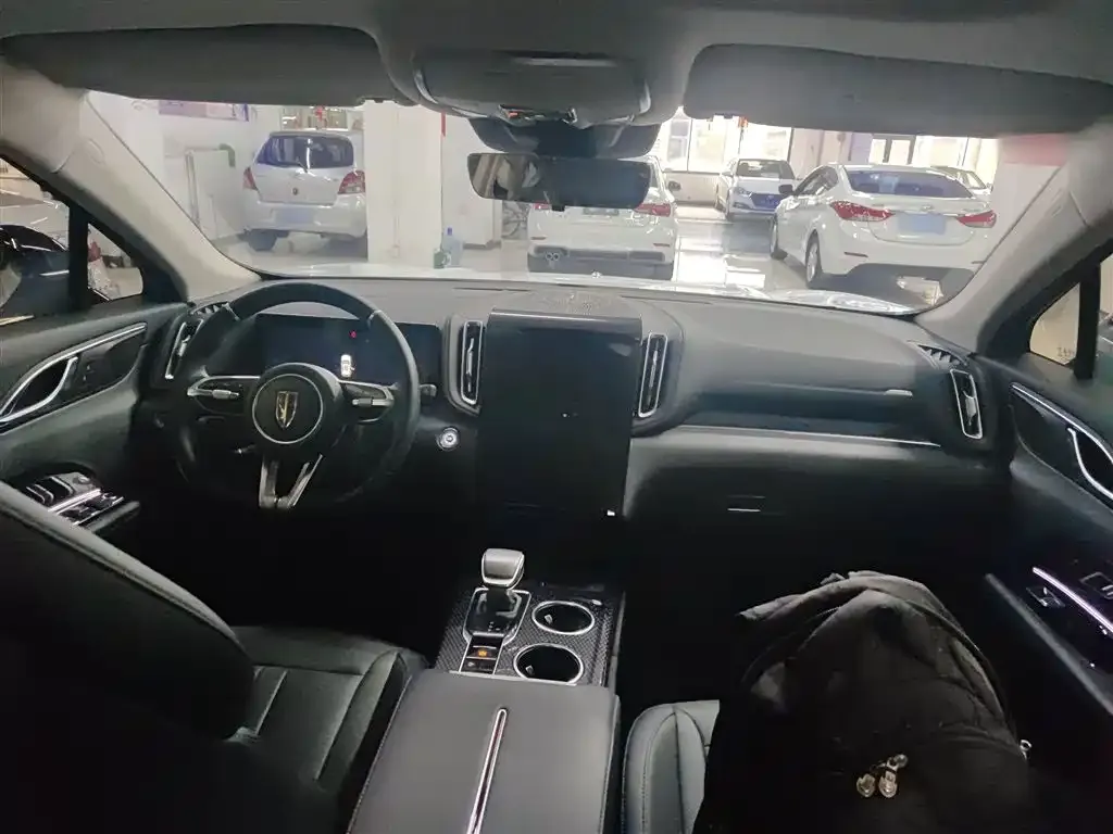 Hongqi HS3 PHEV 2024 из CN, фото 10