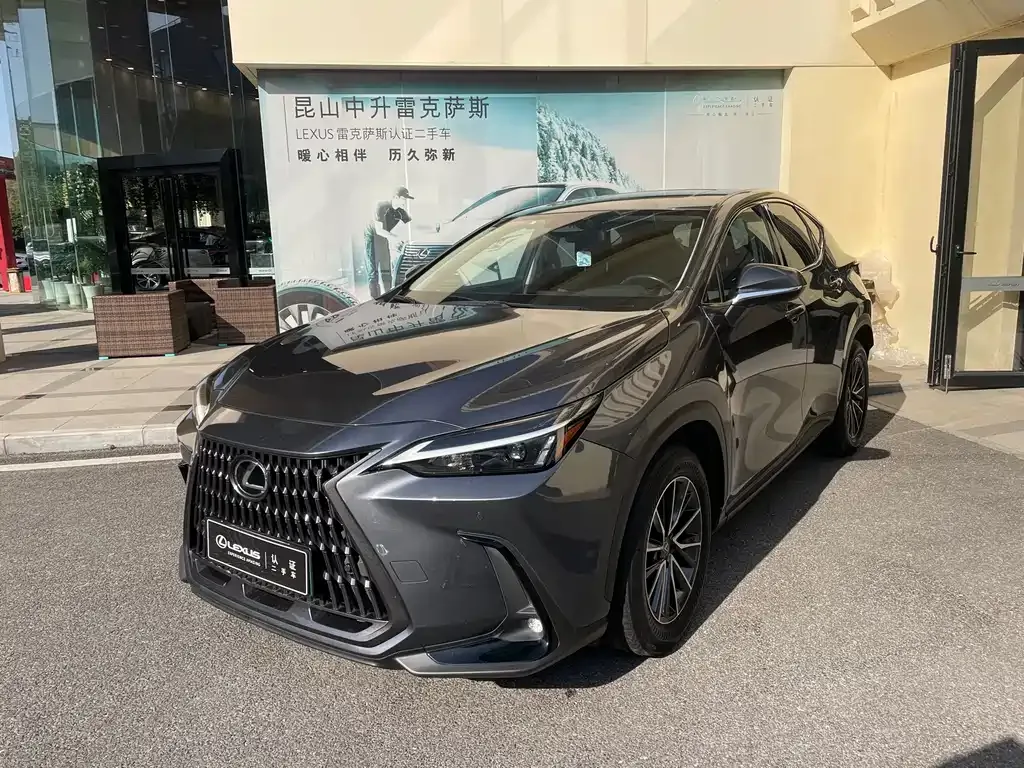 Lexus NX New Energy