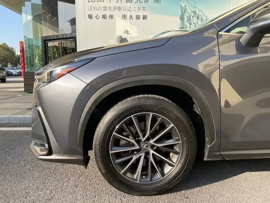 Lexus NX New Energy 2022 из CN, фото 10