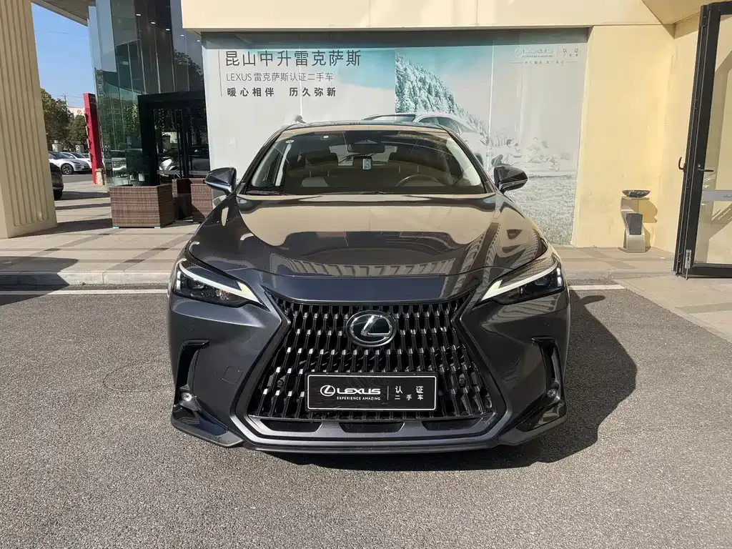 Lexus NX New Energy 2022 из CN, фото 2