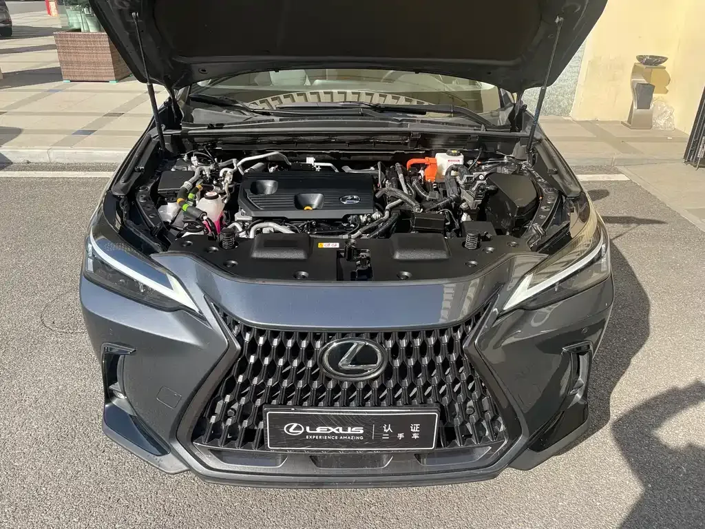 Lexus NX New Energy 2022 из CN, фото 3