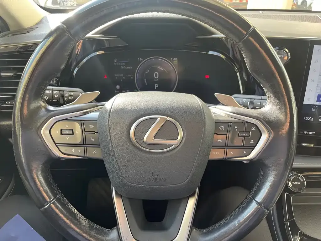 Lexus NX New Energy 2022 из CN, фото 4