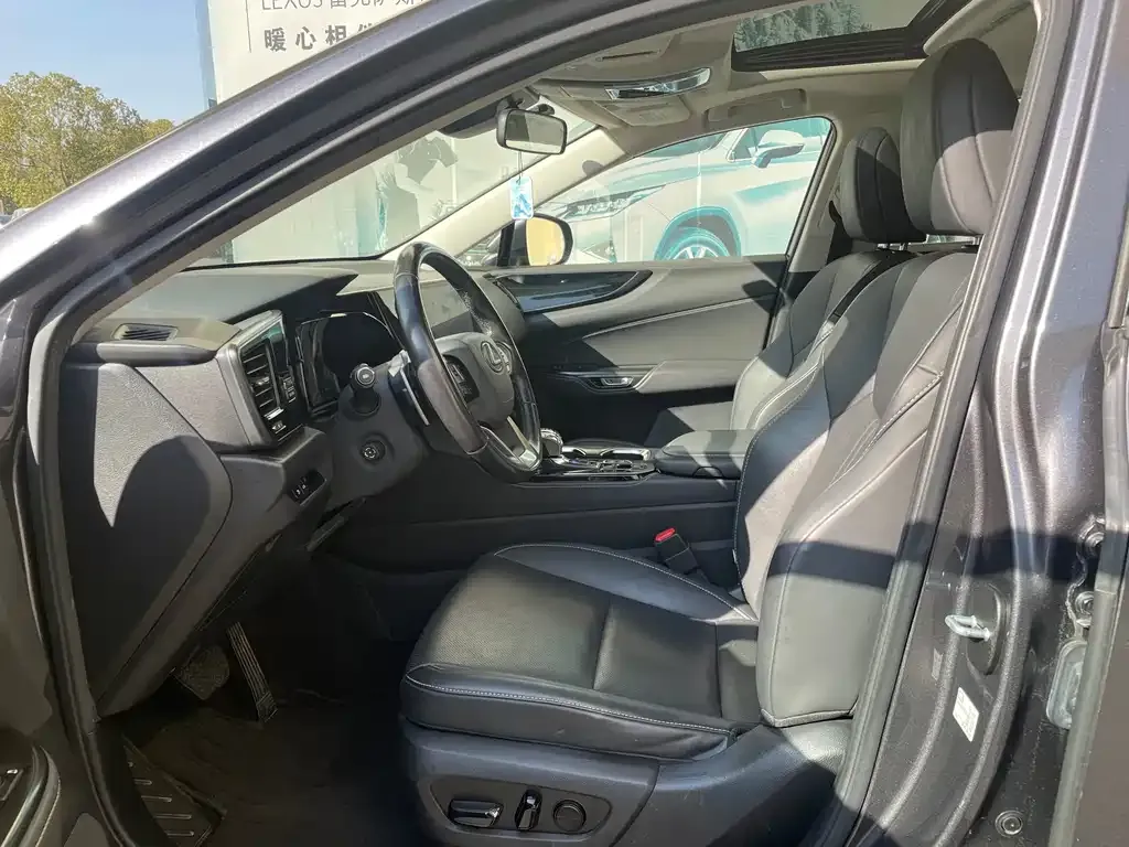 Lexus NX New Energy 2022 из CN, фото 6