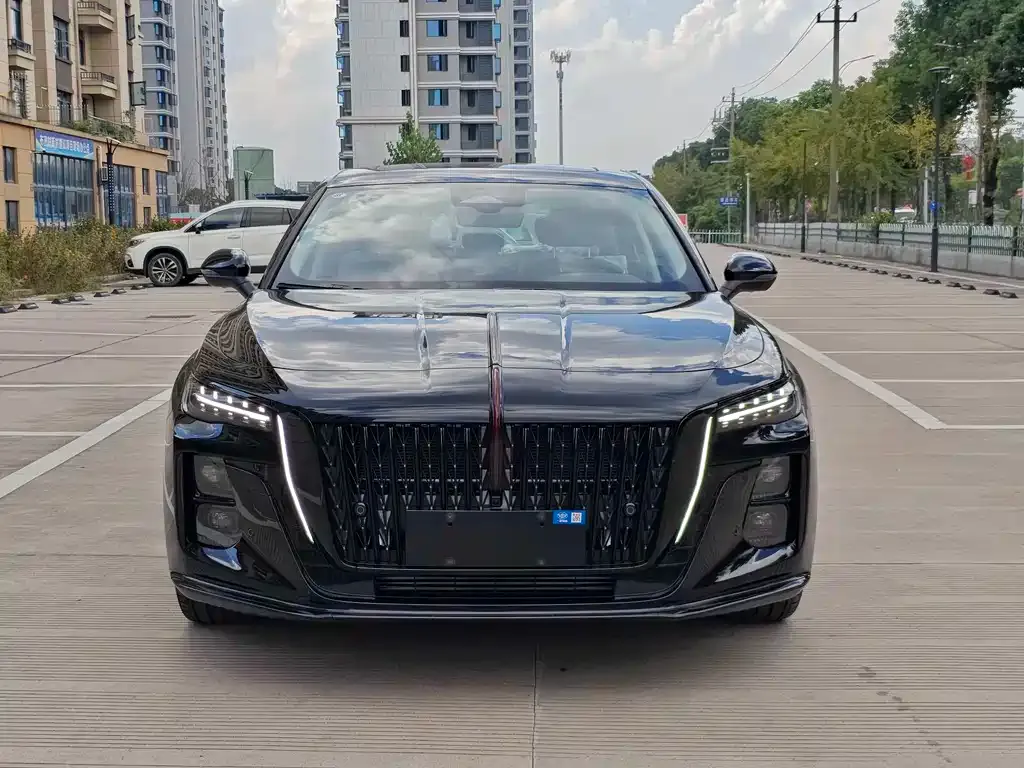 Hongqi H5 2024 из CN, фото 2