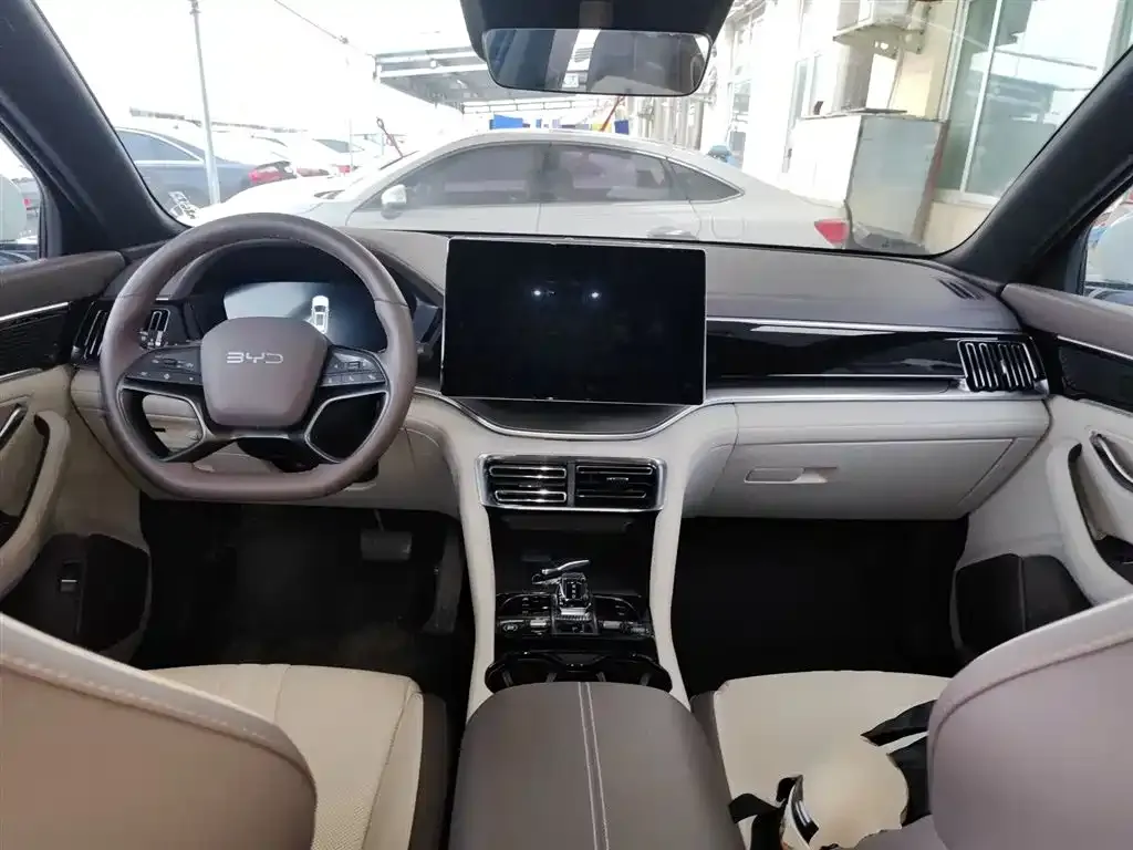 BYD PLUS New Energy — фото 10