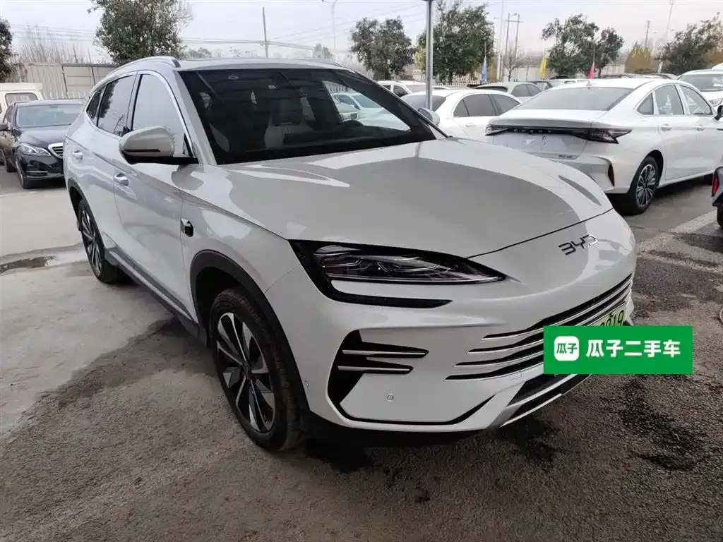 BYD PLUS New Energy — фото 4