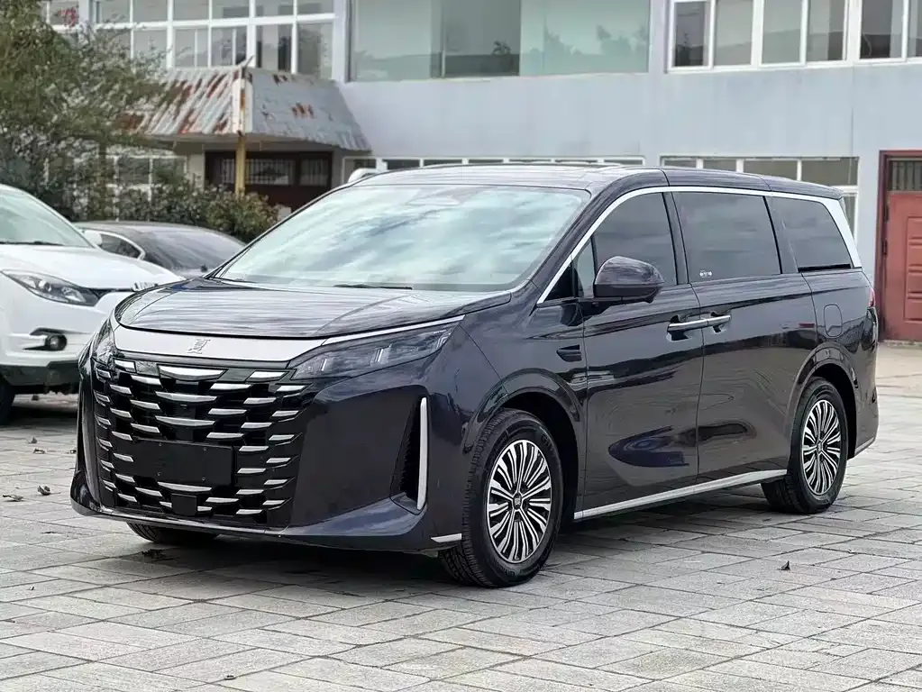 BYD Xia 2025 из CN, фото 1