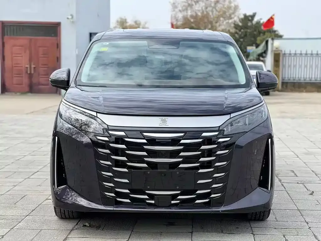 BYD Xia 2025 из CN, фото 2