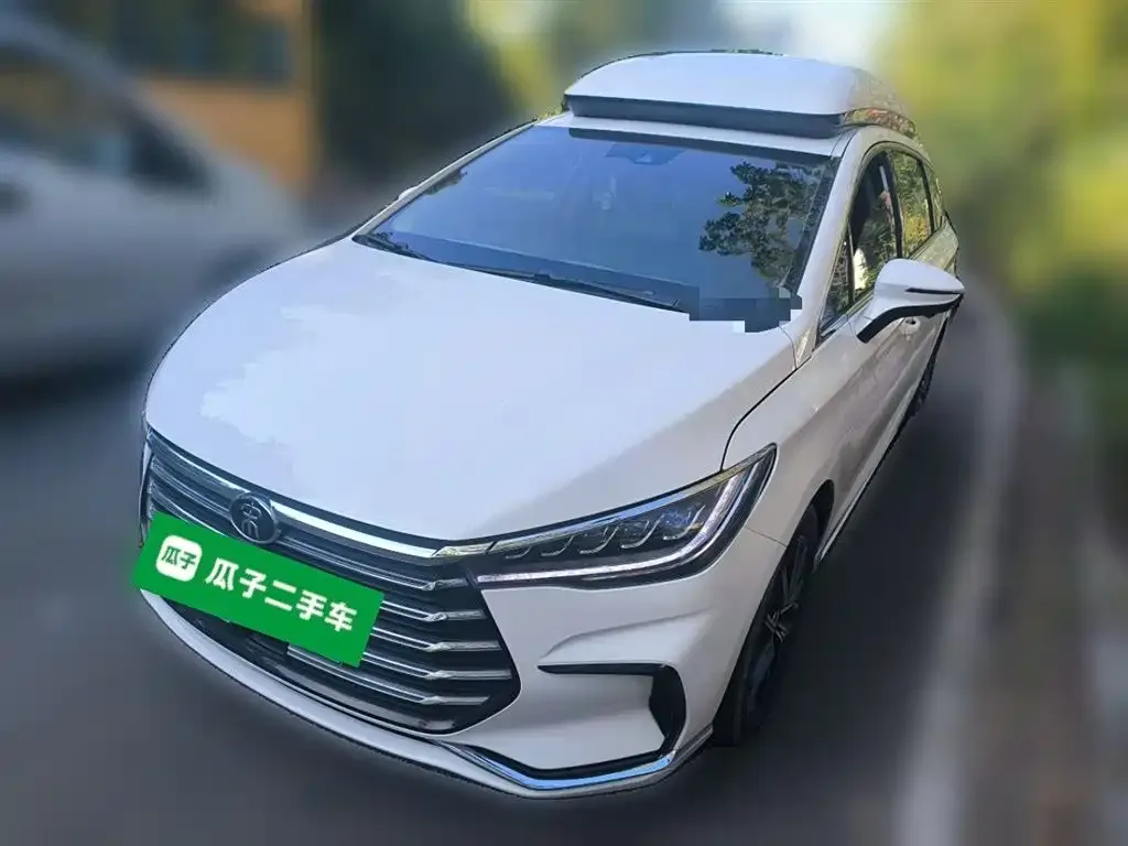 BYD MAX New Energy 2023 из CN, фото 1