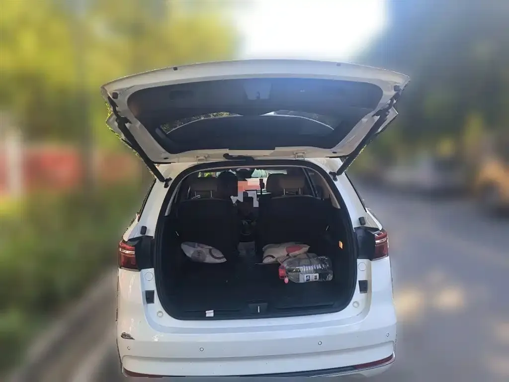 BYD MAX New Energy 2023 из CN, фото 10