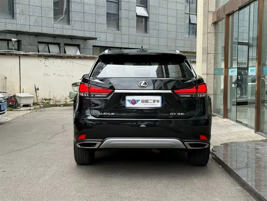Lexus RX 2021 из CN, фото 5