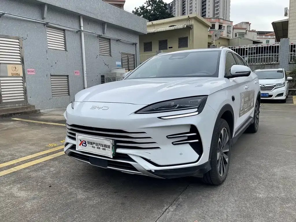 BYD PLUS New Energy — фото 1
