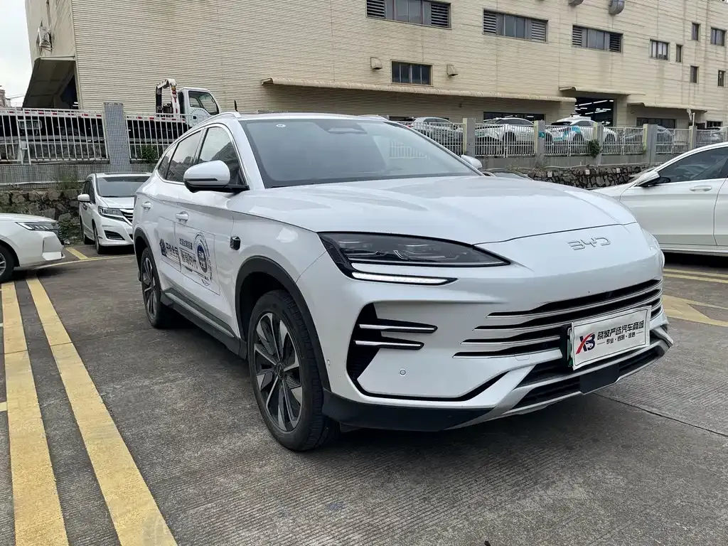 BYD PLUS New Energy — фото 3
