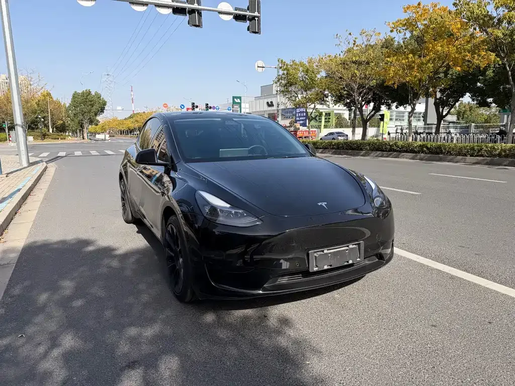 Tesla Model Y — фото 1