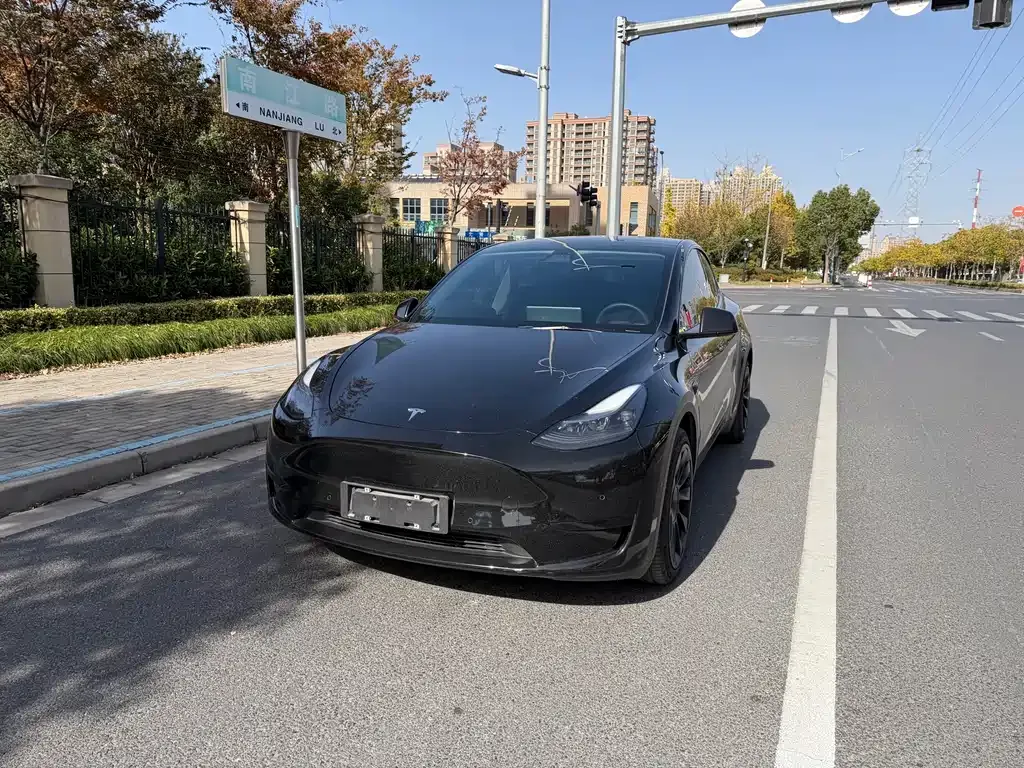 Tesla Model Y — фото 2