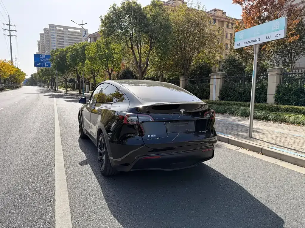Tesla Model Y — фото 3