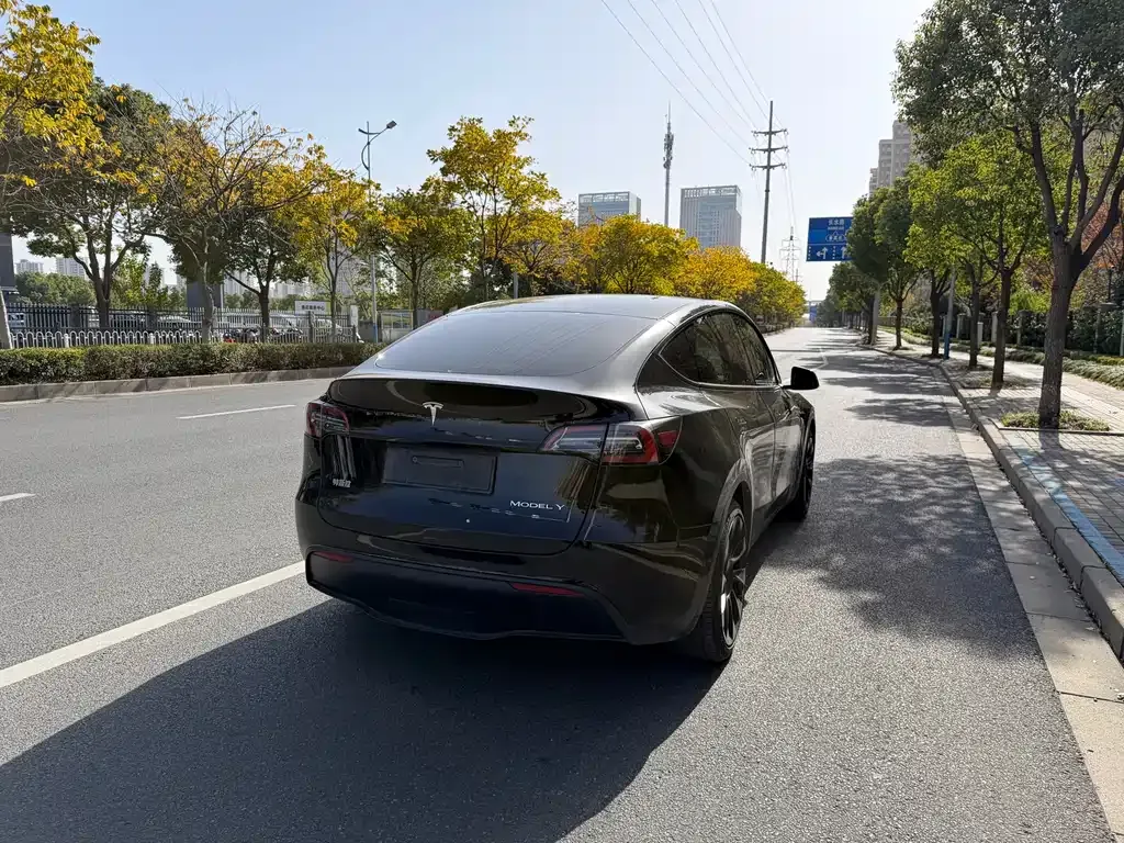 Tesla Model Y — фото 4