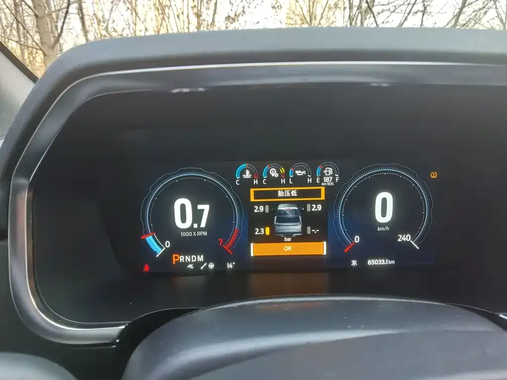 Ford F-150 Raptor 2023 из CN, фото 10