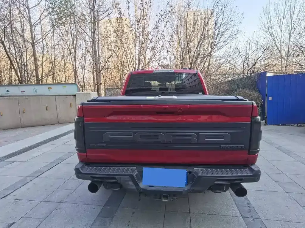 Ford F-150 Raptor 2023 из CN, фото 8