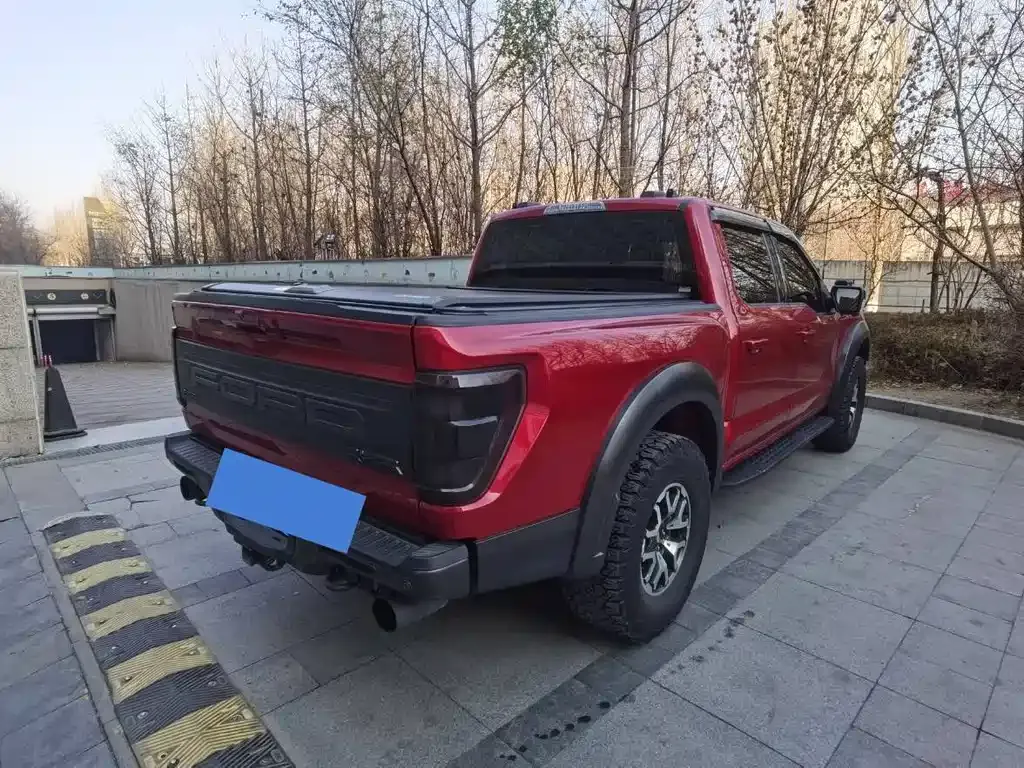 Ford F-150 Raptor 2023 из CN, фото 9
