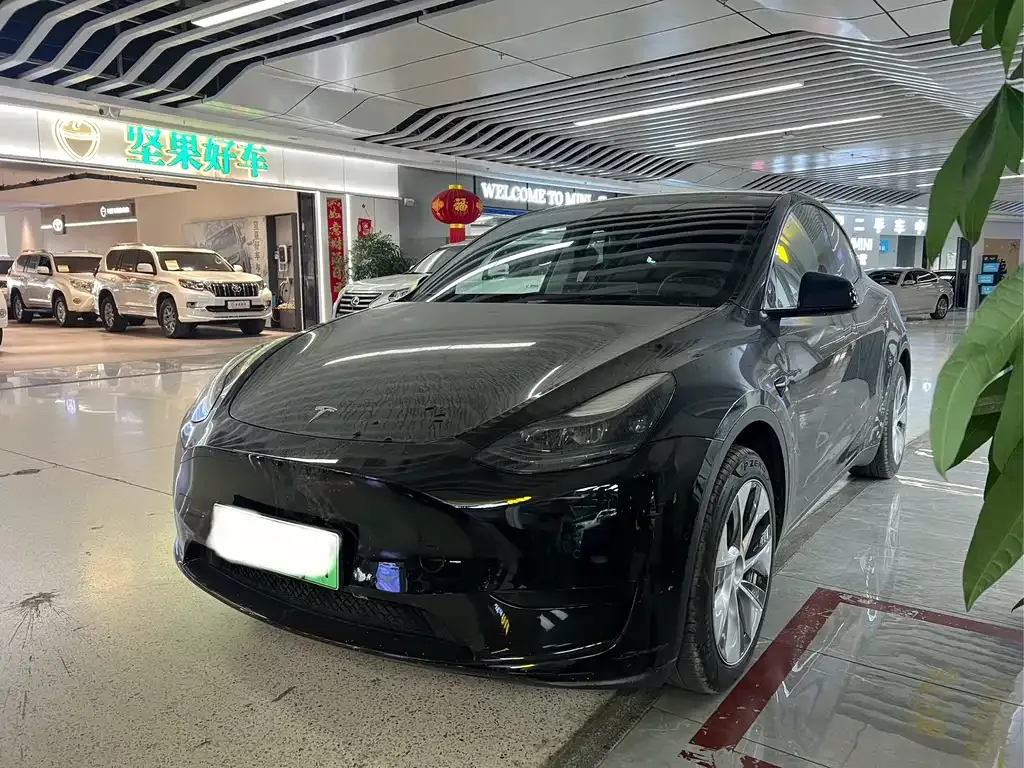 Tesla Model Y 2022 из CN, фото 1
