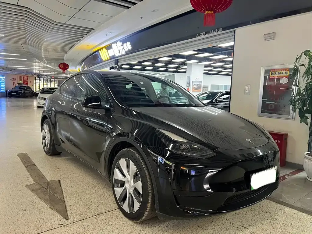 Tesla Model Y 2022 из CN, фото 3