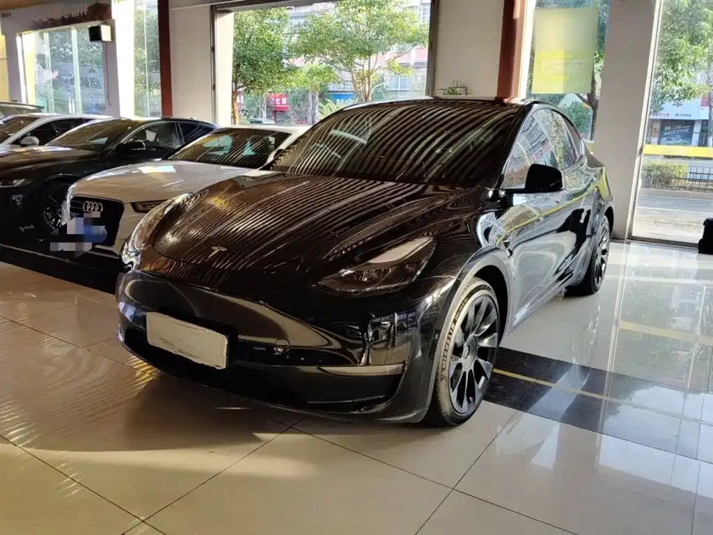 Tesla Model Y — фото 2