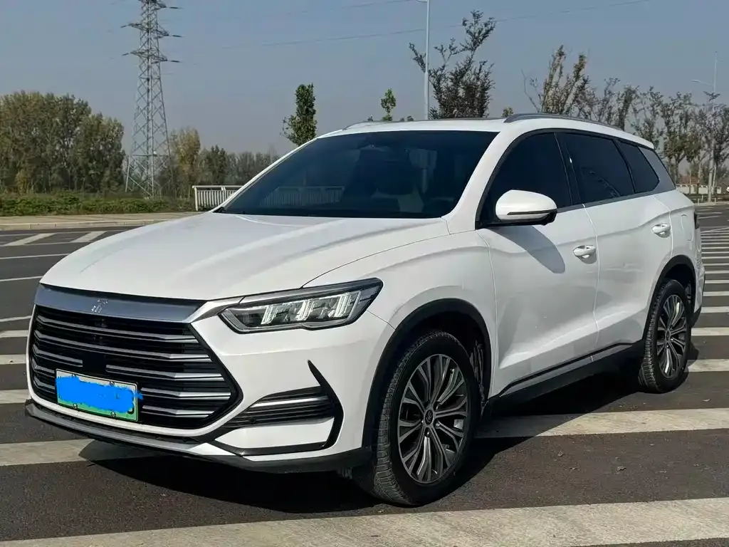BYD Pro New Energy — фото 1