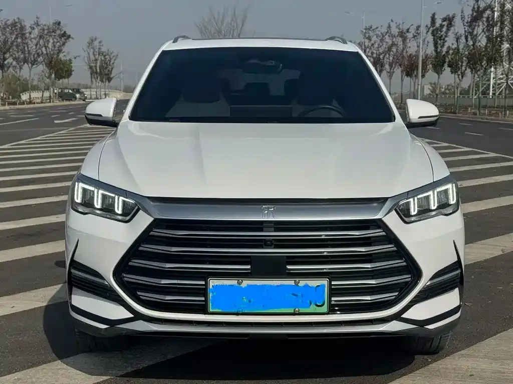 BYD Pro New Energy — фото 2